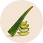 Aloe